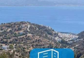 403541-Vorschaubild2