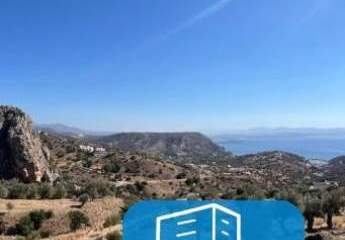 403541-Vorschaubild3