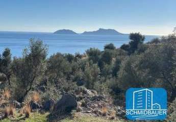 403883-Vorschaubild2