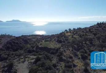 403883-Vorschaubild3