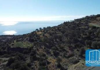 403883-Vorschaubild4