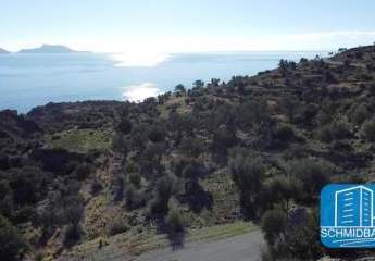 Kreta, Agios Georgios: Grundstück mit Baugenehmigung für drei Häuser und einen Swimmingpool