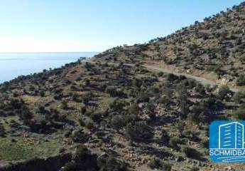 403297-Vorschaubild2