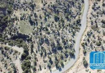 403297-Vorschaubild3