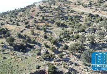 403297-Vorschaubild4