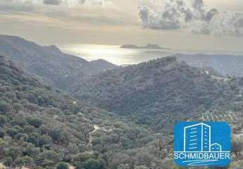 412193-Vorschaubild2