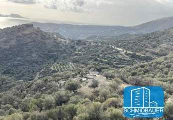 412193-Vorschaubild3