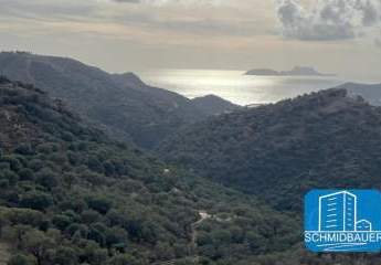 412193-Vorschaubild4