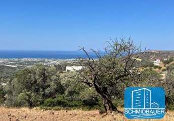 434201-Vorschaubild2