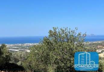 434201-Vorschaubild4