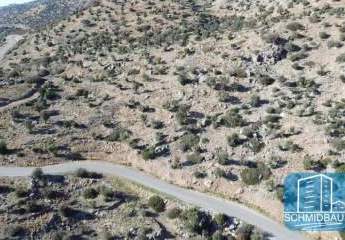 443806-Vorschaubild2