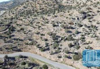 443806-Vorschaubild3