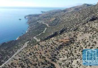 443806-Vorschaubild4