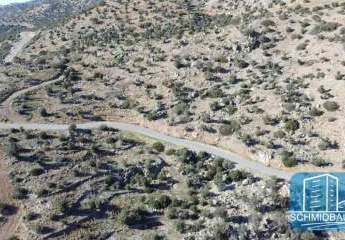 443807-Vorschaubild2