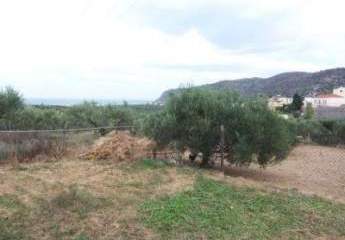 Kreta, Milatos: Grundstück mit Meerblick, innerhalb der Ortsgrenzen zu verkaufen