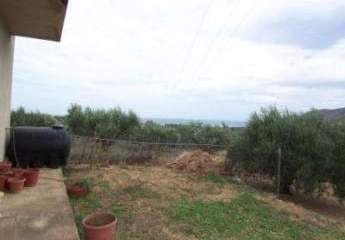 457160-Vorschaubild2