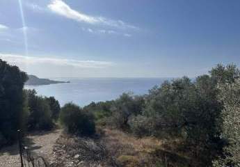 457161-Vorschaubild2