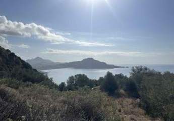 457161-Vorschaubild3