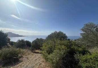 457161-Vorschaubild4