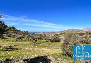 Kreta, Kamilari: Grundstück in traumhafter Lage mit Meer- und Bergblick zu verkaufen