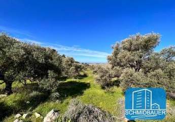 404179-Vorschaubild3