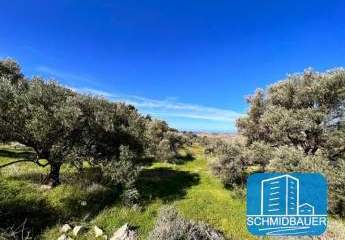 404179-Vorschaubild4