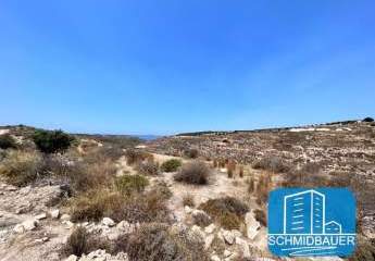 404181-Vorschaubild2