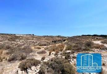 404181-Vorschaubild3