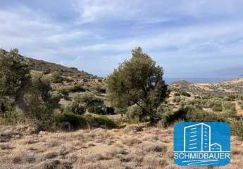 404184-Vorschaubild2