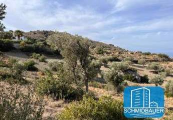 404184-Vorschaubild4