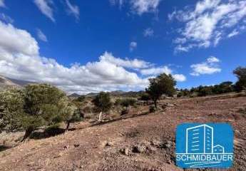 404185-Vorschaubild2