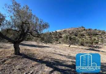 404203-Vorschaubild2