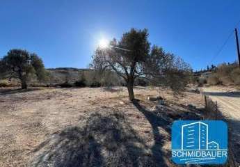 404203-Vorschaubild3