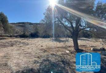 404203-Vorschaubild4