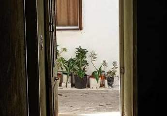 457256-Vorschaubild3