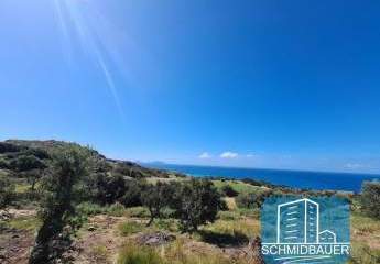 403575-Vorschaubild2