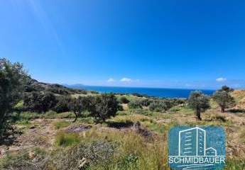 403575-Vorschaubild3