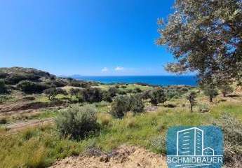 403575-Vorschaubild4