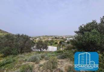 403699-Vorschaubild2