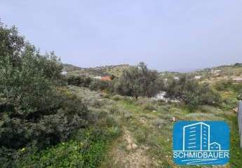 403699-Vorschaubild3