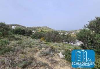 403699-Vorschaubild4