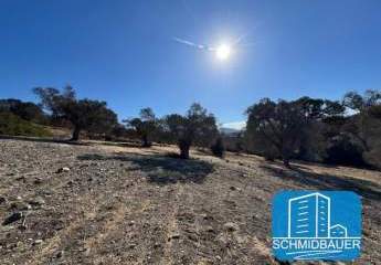 Kreta, Pitsidia: Grundstück mit Baugenehmigung für drei Luxusvillen zu verkaufen