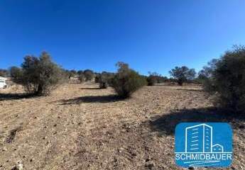 404204-Vorschaubild3