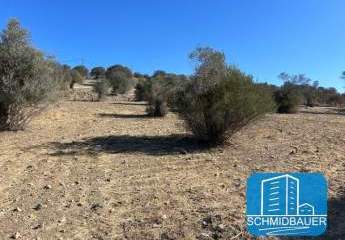 404204-Vorschaubild4