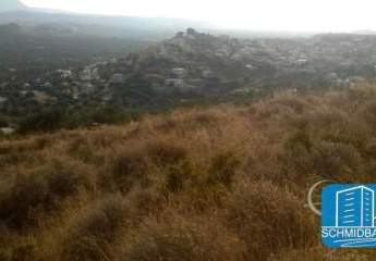 403707-Vorschaubild4