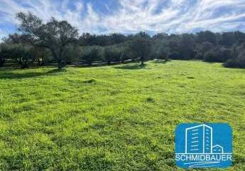 403885-Vorschaubild2