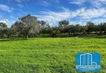 403885-Vorschaubild3