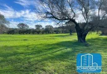 403885-Vorschaubild4