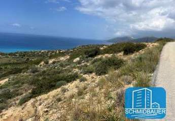 457992-Vorschaubild4