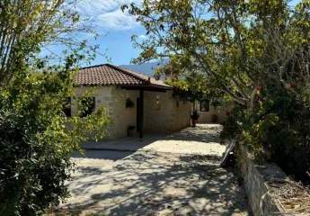 458616-Vorschaubild2